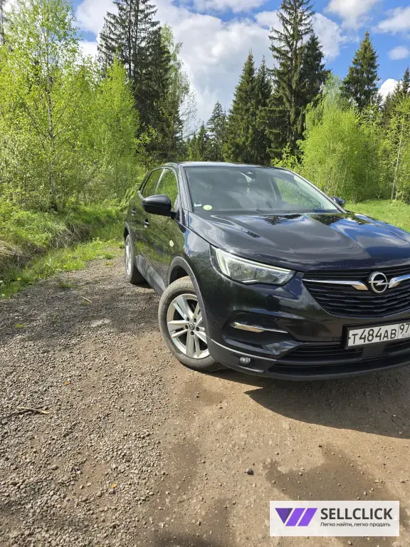 Opel Grandland X 1.6 Автомат, 2018, 229000 км