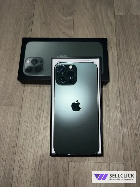 iPhone 13 Pro Max