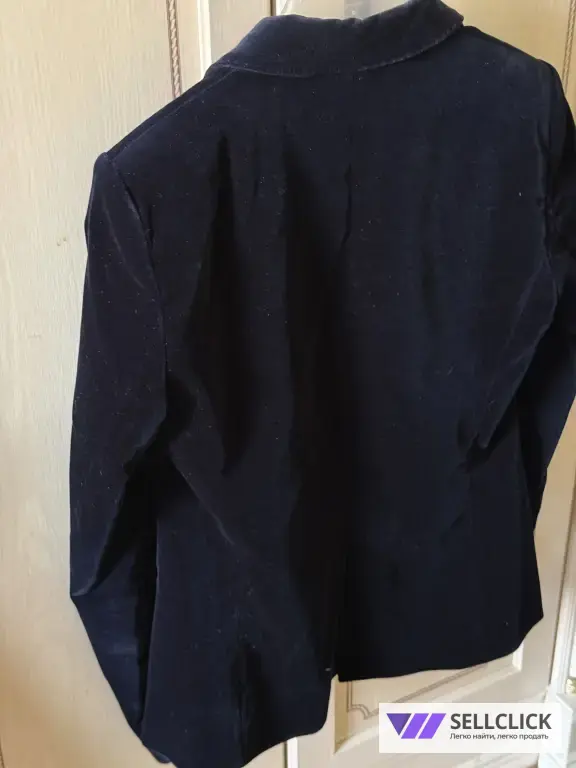 Пиджак велюровый Massimo Dutti