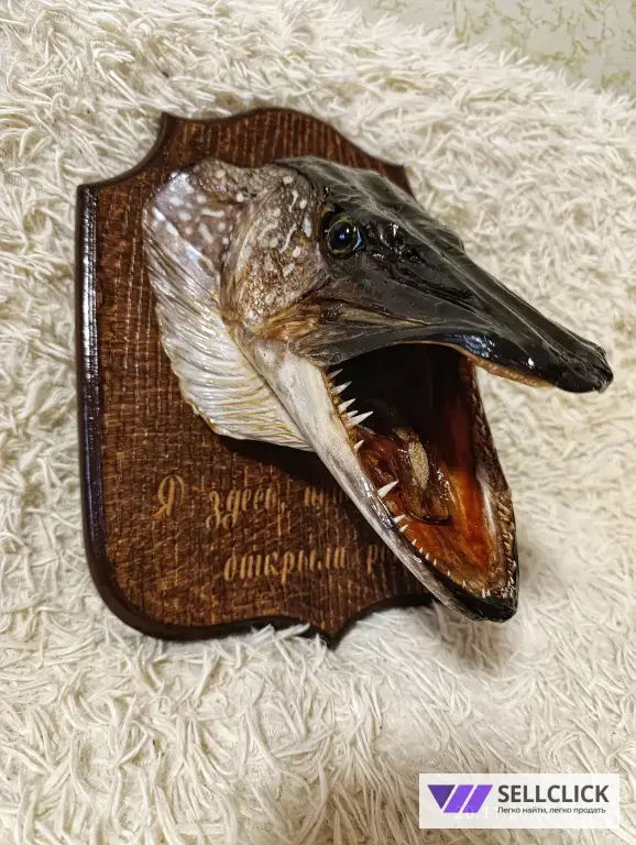Чучело Рыб