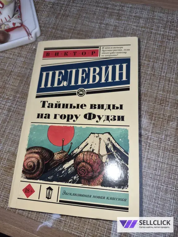 "Тайные виды на гору Фудзи" В. Пелевин